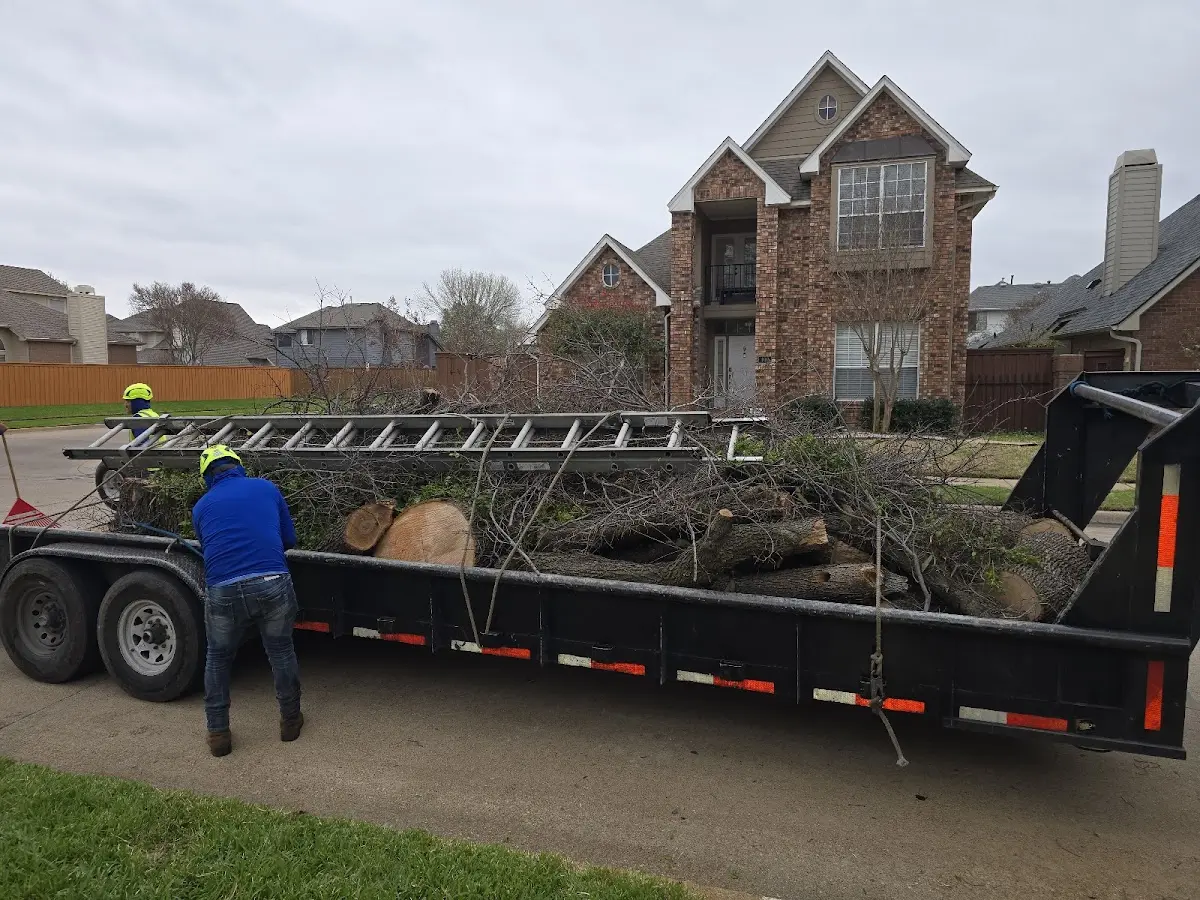 Expert Tree Fertilization with proper safety equipment in Tuthill